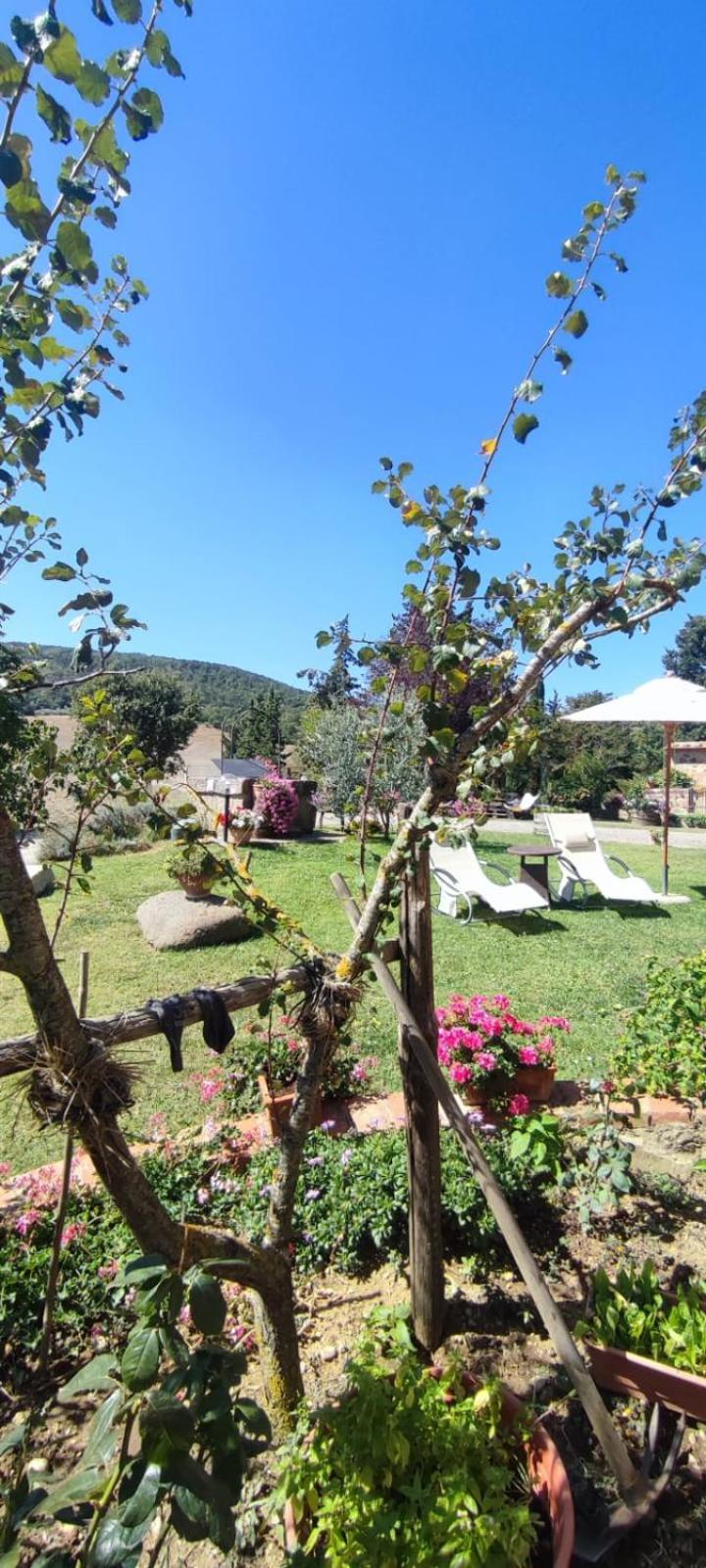 Agriturismo Il Pozzo カスティリオーネ・ドルチャ エクステリア 写真